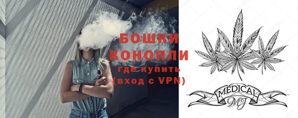стаф Тобольск