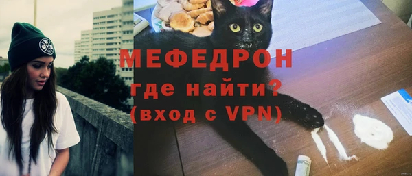 индика Тихвин