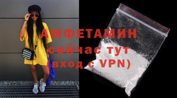 индика Тихвин