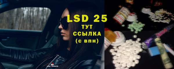 индика Тихвин