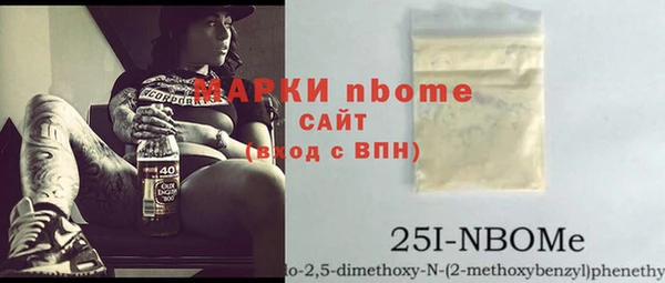 индика Тихвин