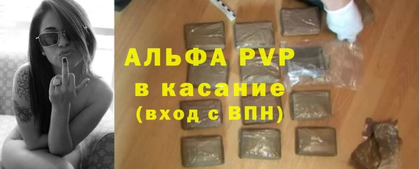 индика Тихвин