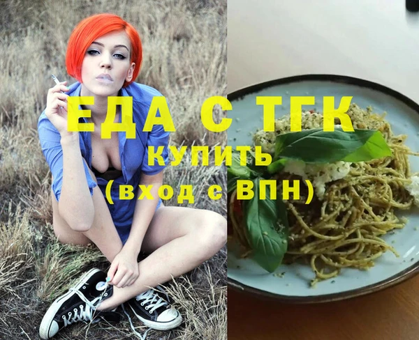 индика Тихвин