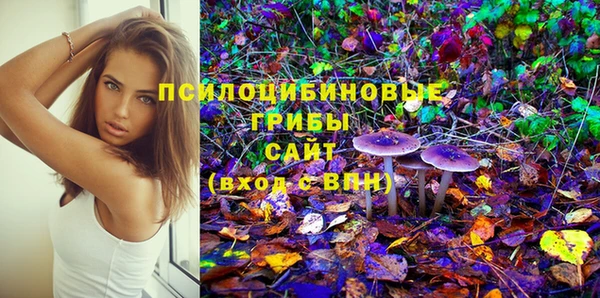 стаф Тобольск