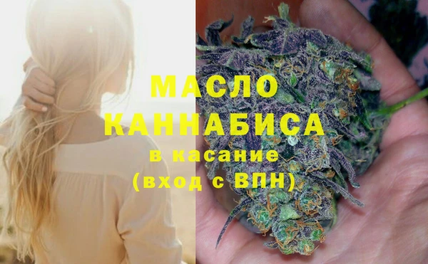 индика Тихвин