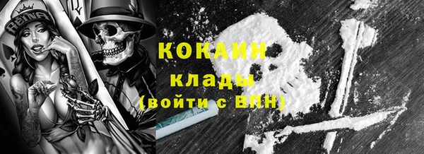 индика Тихвин