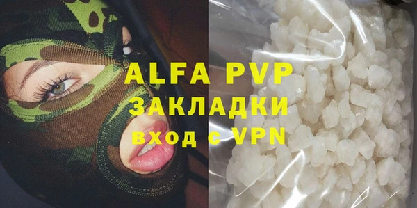 индика Тихвин