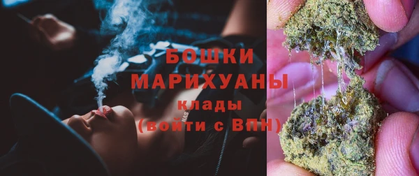 индика Тихвин