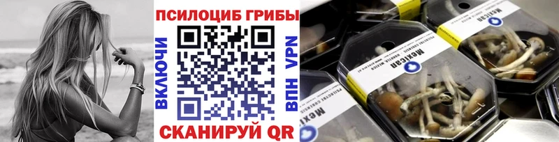 Купить  Белая Холуница  Псилоцибиновые грибы мухоморы 