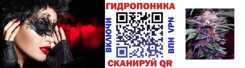 Купить где  Белая Холуница  Конопля Amnesia 